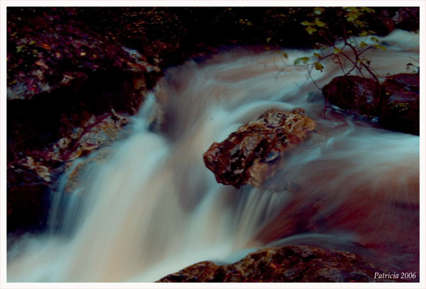 Image Hosted by ImageShack.us